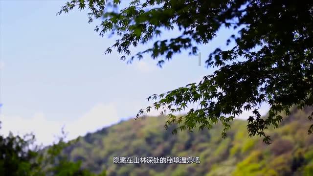 菏泽市青年企业家商会第二届四次全体会议暨2024新年团拜会举行